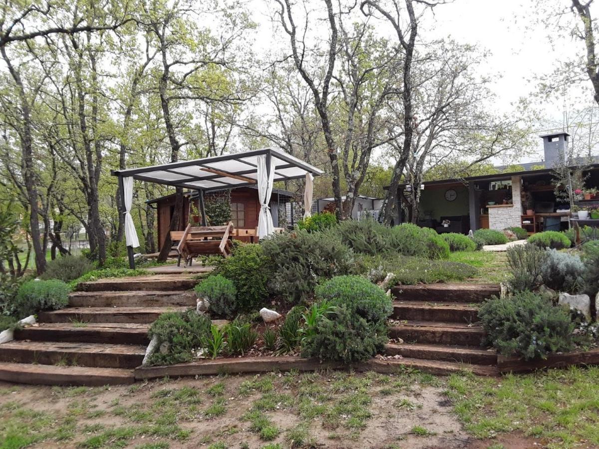 Apartments Bijou With Big Private Garden Near Umag Vilanija Exterior foto